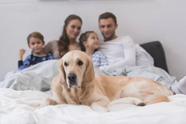 Собака з сім'єю — стокове фото