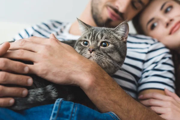 Close-up tiro de jovem casal segurando gato nas mãos e abraçando — Fotografia de Stock