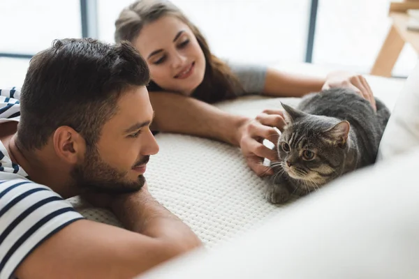 Feliz joven pareja acariciando gato mientras él sentado en sofá - foto de stock