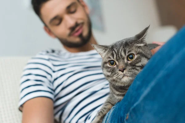 Gros plan de jeune homme caressant mignon chat tabby — Photo de stock