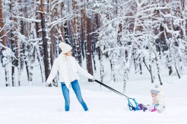 Jovem mãe e menina trenó na floresta de inverno juntos — Fotografia de Stock