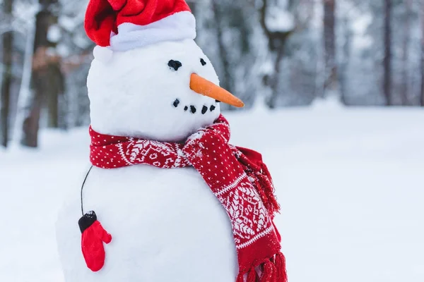 Vue rapprochée du bonhomme de neige dans santa chapeau, écharpe et mitaines i parc d'hiver — Photo de stock