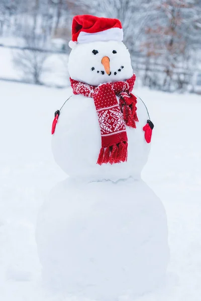 Vista da vicino di pupazzo di neve in cappello di Babbo Natale, sciarpa e guanti i inverno parco — Foto stock