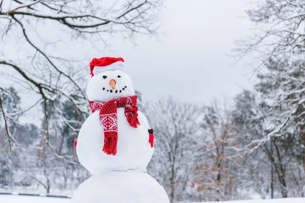 Muñeco de nieve divertido en bufanda, mitones y sombrero de santa en el parque de invierno - foto de stock