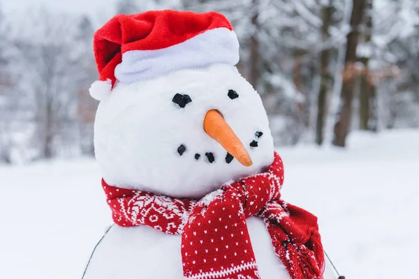 Close-up view of funny snowman in scarf and santa hat in winter park — Stock Photo