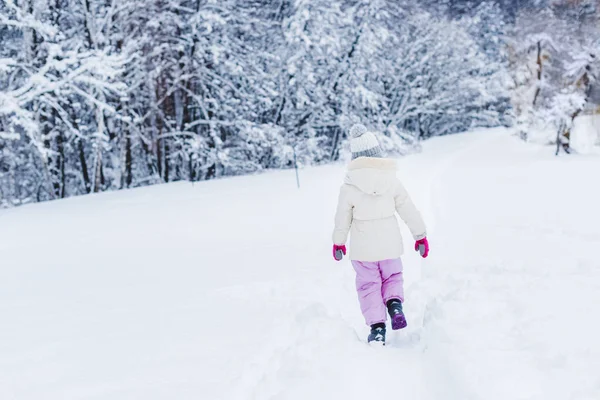 Vue arrière du petit enfant en vêtements chauds marchant sur la neige dans le parc d'hiver — Photo de stock