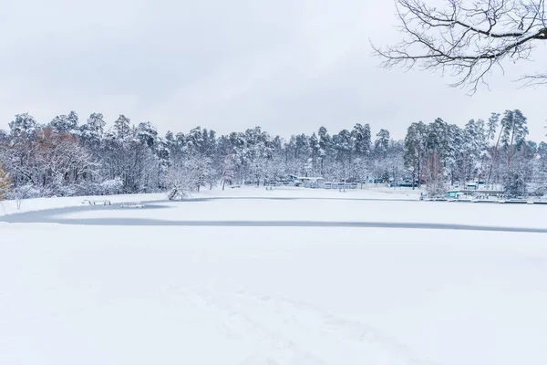 Beau paysage avec lac gelé et arbres couverts de neige dans le parc d'hiver — Photo de stock