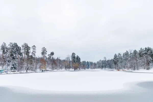 Beau paysage avec des arbres enneigés et lac gelé dans le parc d'hiver — Photo de stock