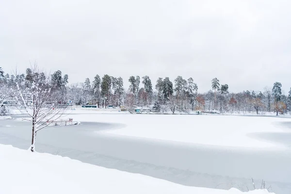 Beaux arbres enneigés et lac gelé dans le parc d'hiver — Photo de stock