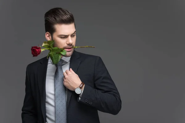 Schöner Mann im Anzug mit roter Rose im Mund, isoliert auf grau — Stockfoto