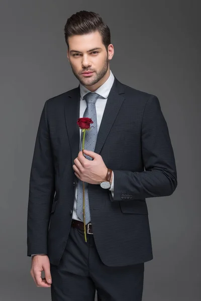 Красивий бородатий чоловік у костюмі тримає червону троянду, ізольований на сірому — стокове фото