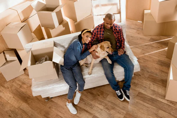 Casal afro-americano com cão labrador se mudando para nova casa — Fotografia de Stock