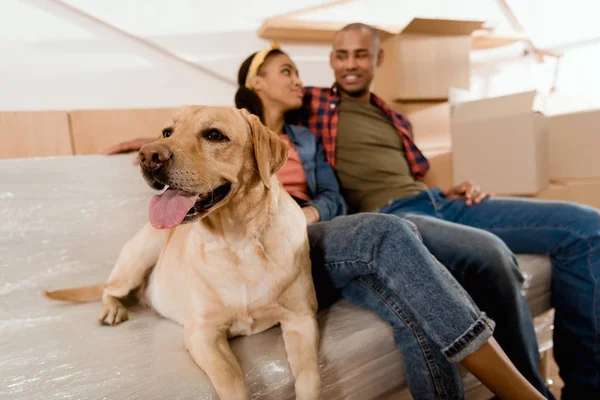 African american couple with labrador dog resting on sofa — Stock Photo