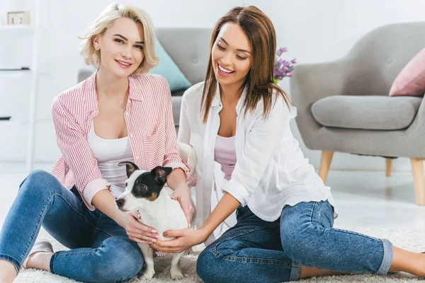 Donne attraenti sedute sul pavimento con jack russell terrier cane a casa — Foto stock