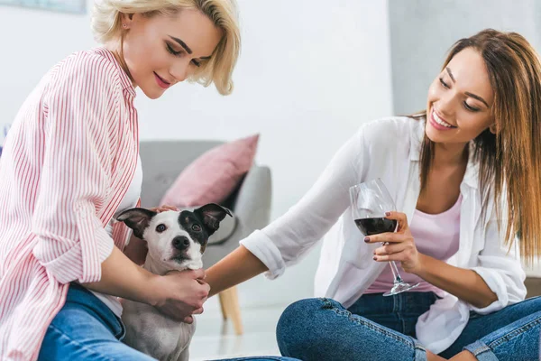 Schöne Mädchen mit Hund und einem Glas Rotwein zu Hause — Stockfoto