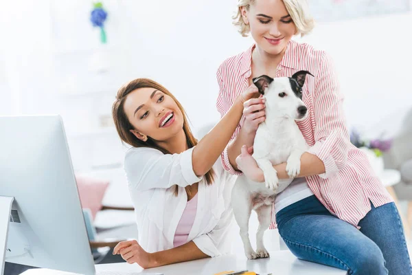 Attractive girls with jack russell terrier dog at home — Stock Photo