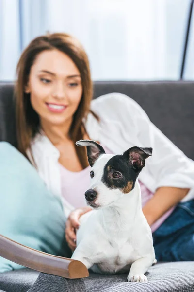 Hermosa chica con jack russell terrier perro en casa - foto de stock