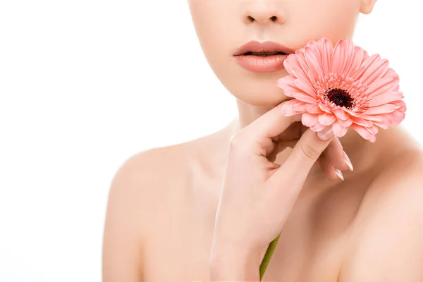 Cropped view of girl with clean skin holding flower, isolated on white — Stock Photo