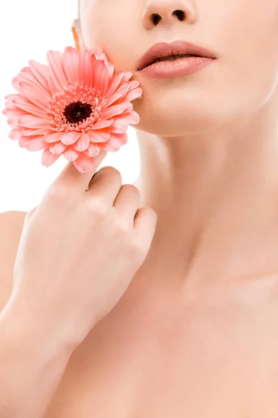 Cropped view of girl with fresh skin holding gerbera, isolated on white — Stock Photo