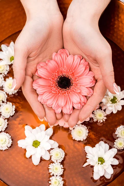 Cropped view of woman making spa procedure with flowers in beauty salon, nail care concept — Stock Photo