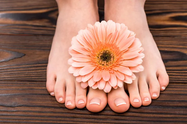 Cropped view of female feet with natural pedicure and gerbera on wooden surface — Stock Photo