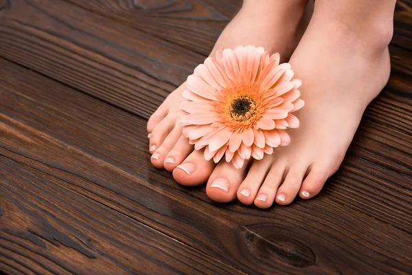Vista recortada de los pies con pedicura natural y flor de gerberas en superficie de madera - foto de stock