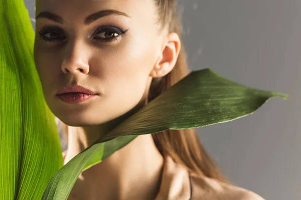 Menina da moda atraente com folhas verdes olhando para a câmera, isolado em cinza — Fotografia de Stock