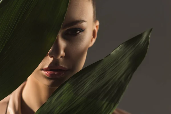 Attractive young woman hiding behind green leaves, isolated on grey — Stock Photo