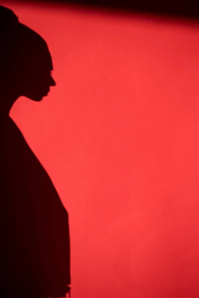 Shadow silhouette of girl posing for fashion shoot — Stock Photo