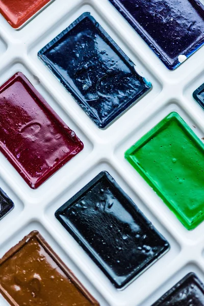 Close-up view of set of colorful paint in plastic white box — Stock Photo