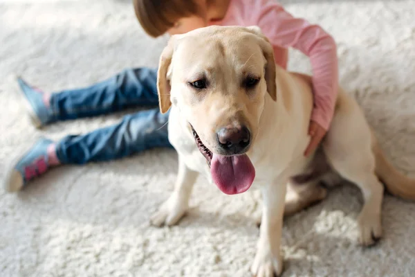 Preadolescent дівчинка з синдромом Дауна обійматися Лабрадор ретрівер собака — стокове фото
