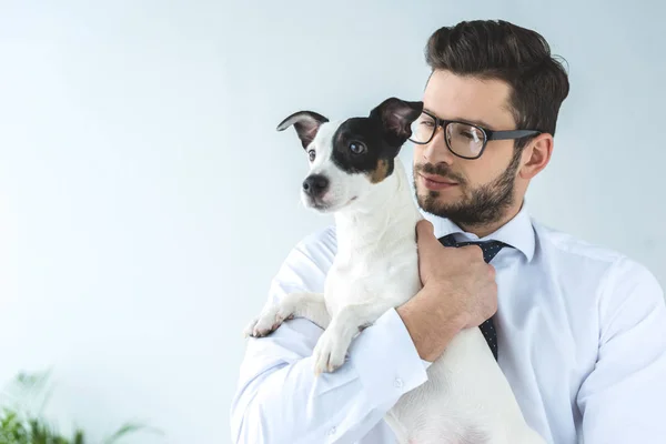 Бородатий бізнесмен тримає джек-російського тер'єра собаку — стокове фото