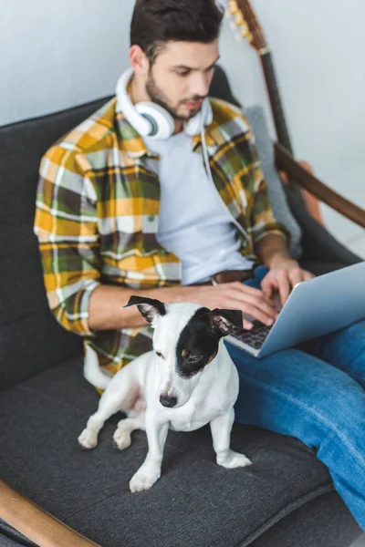 Hombre usando laptop mientras sentado en sofá con jack russell terrier - foto de stock