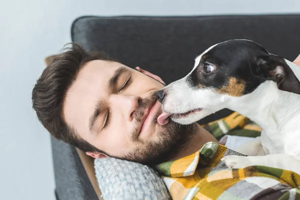 Jack russell terrier dog licking face of man with closed eyes — Stock Photo