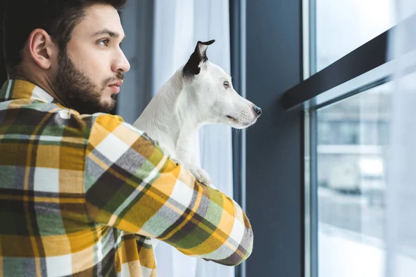 Barbudo homem segurando jack russell terrier cão e olhando para a janela — Fotografia de Stock