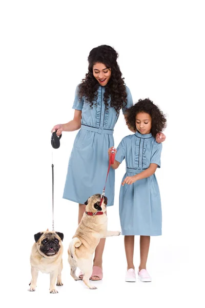 Joven madre e hija en vestidos similares con pugs con correas aisladas en blanco - foto de stock