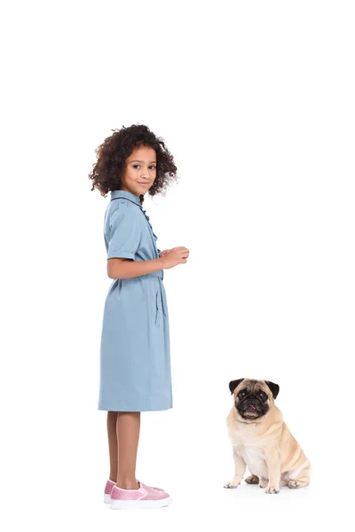 Adorable little child in dress with pug isolated on white — Stock Photo