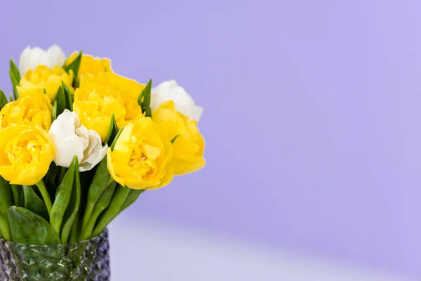 8 de marzo el ramo de la celebración de las flores tiernas primaverales de tulipán en el florero violeta - foto de stock