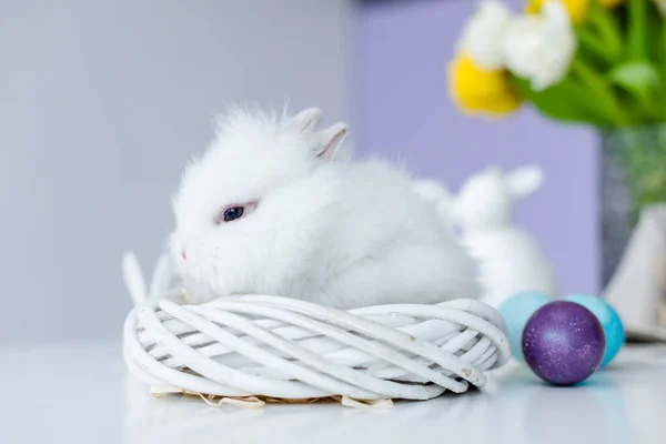 Hase im Nest durch farbige Ostereier auf dem Tisch — Stockfoto