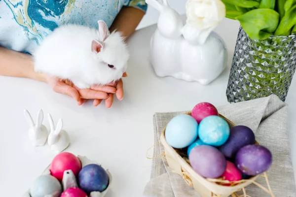 Coelho branco em mãos femininas com ovos de Páscoa na mesa — Fotografia de Stock