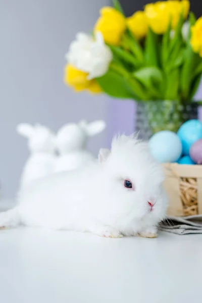 Lindo conejo por huevos de Pascua pintados en la mesa - foto de stock