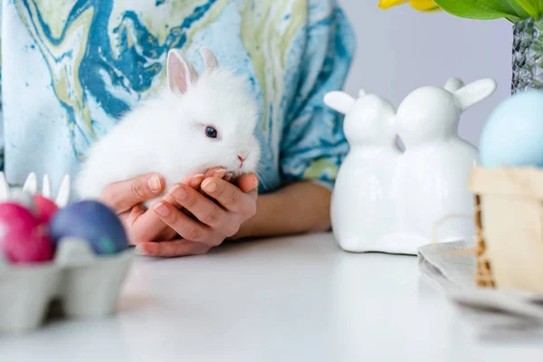 Coelho de Páscoa em mãos femininas com ovos na mesa para a Páscoa — Fotografia de Stock