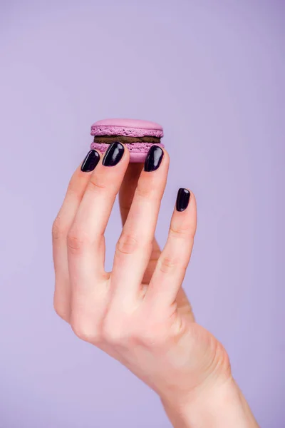 Main féminine avec macaron isolé sur violet — Photo de stock