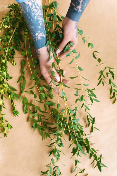 Обрезанный снимок флориста с татуированными руками, расставляющего зеленые растения на рабочем месте — стоковое фото