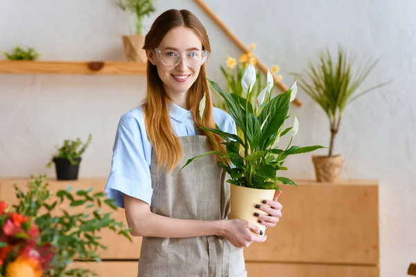 Beautiful young florist in eyeglasses holding potted calla flowers and smiling at camera — Stock Photo