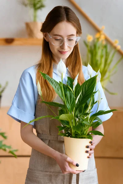 Bela sorridente jovem florista segurando flores calla potted — Fotografia de Stock