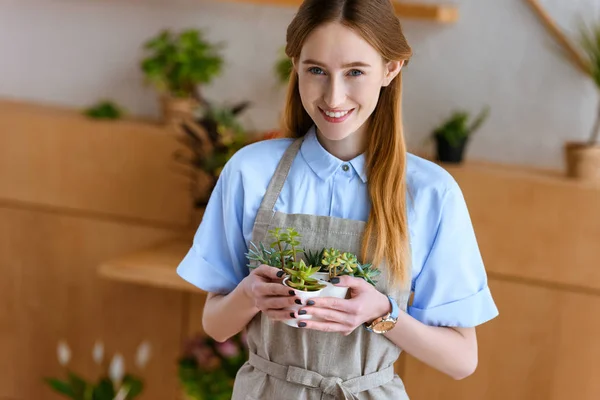 Belle jeune fleuriste dans tablier tenant succulents dans des pots et souriant à la caméra dans le magasin de fleurs — Photo de stock