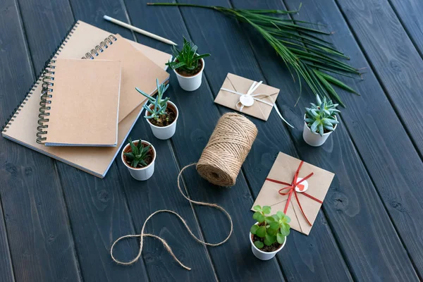 High angle view of succulents in pots, notebooks, palm leaf, rope and envelopes on table top — Stock Photo