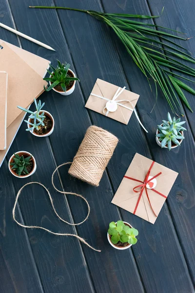 Top view of succulents in pots, notebooks, palm leaf, rope and envelopes on table top — Stock Photo