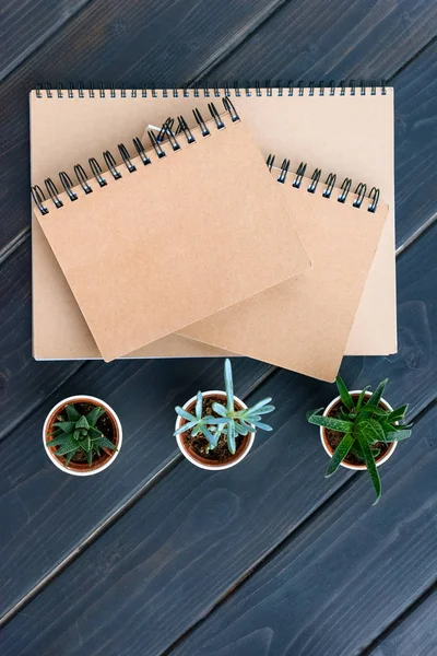 Top view of notebooks with blank covers and succulents in pots on wooden table top — Stock Photo